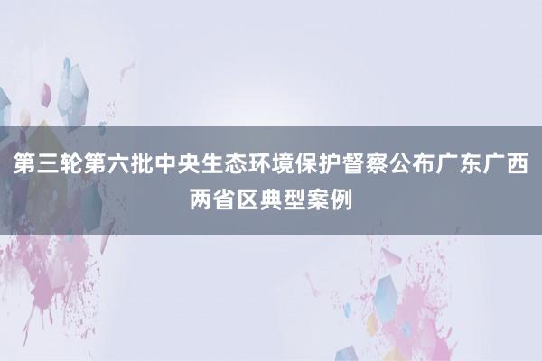 第三轮第六批中央生态环境保护督察公布广东广西两省区典型案例
