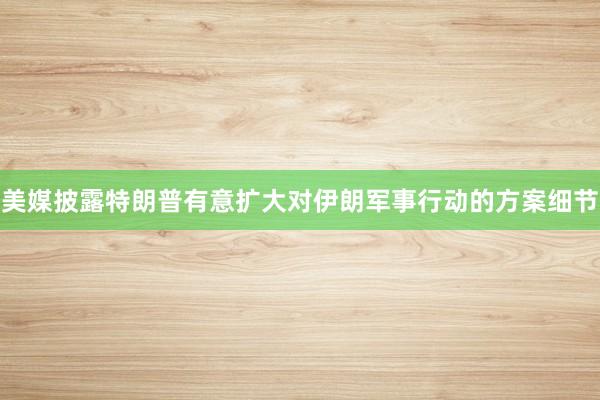 美媒披露特朗普有意扩大对伊朗军事行动的方案细节