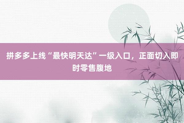 拼多多上线“最快明天达”一级入口，正面切入即时零售腹地