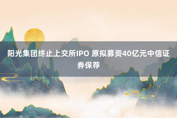 阳光集团终止上交所IPO 原拟募资40亿元中信证券保荐