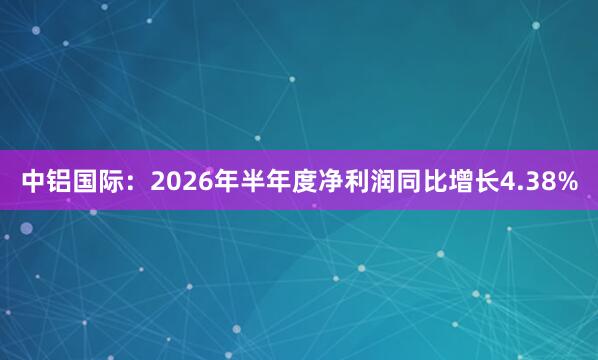 中铝国际：2026年半年度净利润同比增长4.38%