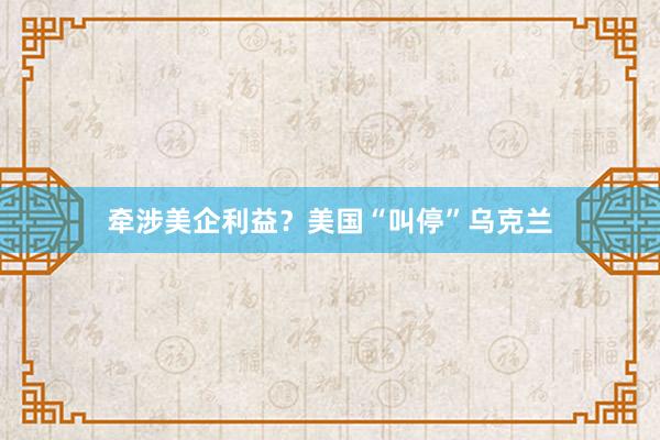 牵涉美企利益?美国“叫停”乌克兰