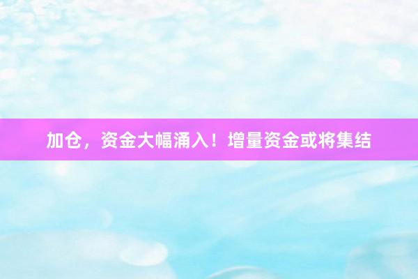 加仓，资金大幅涌入！增量资金或将集结