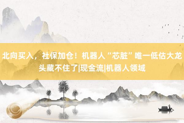 北向买入，社保加仓！机器人“芯脏”唯一低估大龙头藏不住了|现金流|机器人领域