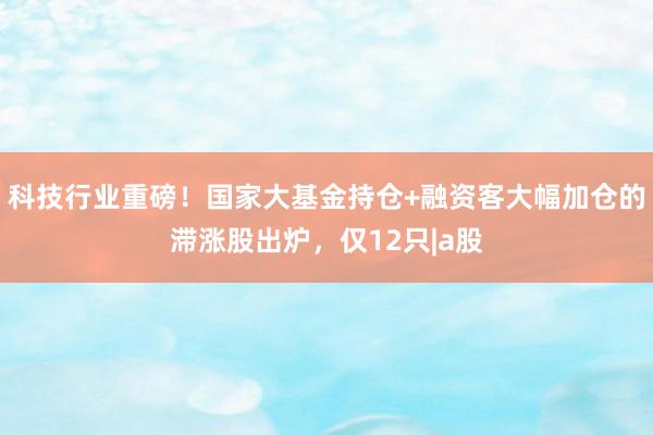 科技行业重磅！国家大基金持仓+融资客大幅加仓的滞涨股出炉，仅12只|a股