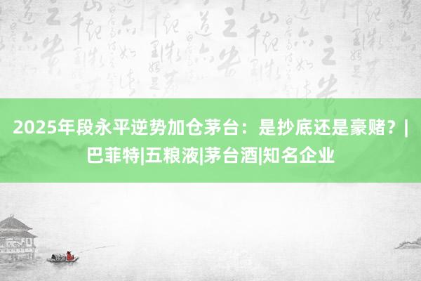 2025年段永平逆势加仓茅台：是抄底还是豪赌？|巴菲特|五粮液|茅台酒|知名企业