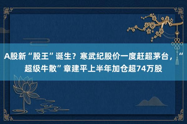 A股新“股王”诞生？寒武纪股价一度赶超茅台，“超级牛散”章建平上半年加仓超74万股