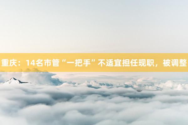 重庆：14名市管“一把手”不适宜担任现职，被调整