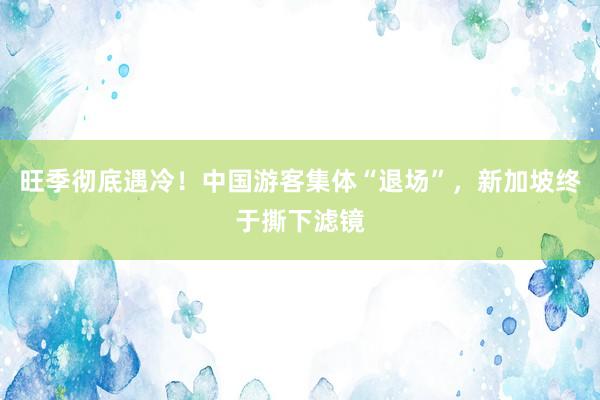 旺季彻底遇冷！中国游客集体“退场”，新加坡终于撕下滤镜