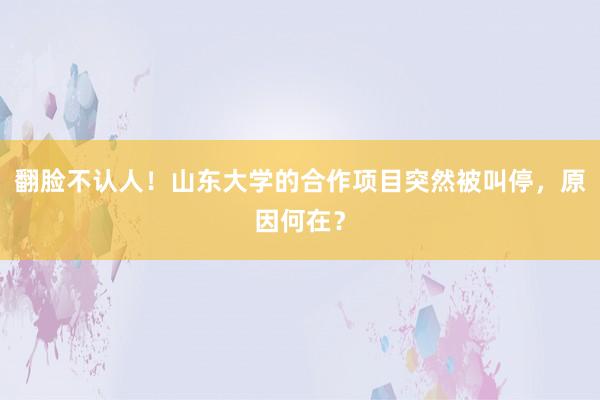 翻脸不认人！山东大学的合作项目突然被叫停，原因何在？
