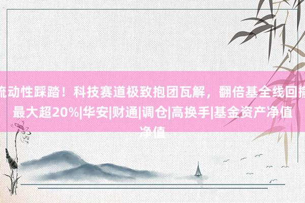 流动性踩踏！科技赛道极致抱团瓦解，翻倍基全线回撤最大超20%|华安|财通|调仓|高换手|基金资产净值