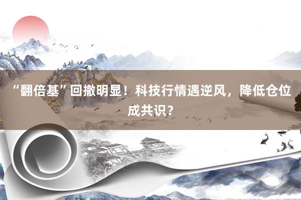 “翻倍基”回撤明显！科技行情遇逆风，降低仓位成共识？