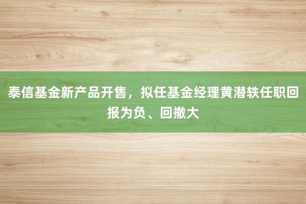 泰信基金新产品开售，拟任基金经理黄潜轶任职回报为负、回撤大