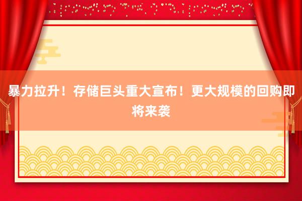 暴力拉升！存储巨头重大宣布！更大规模的回购即将来袭