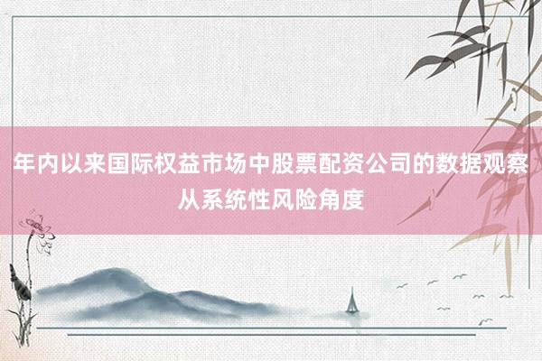 年内以来国际权益市场中股票配资公司的数据观察从系统性风险角度