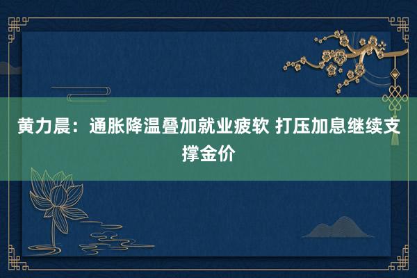 黄力晨：通胀降温叠加就业疲软 打压加息继续支撑金价