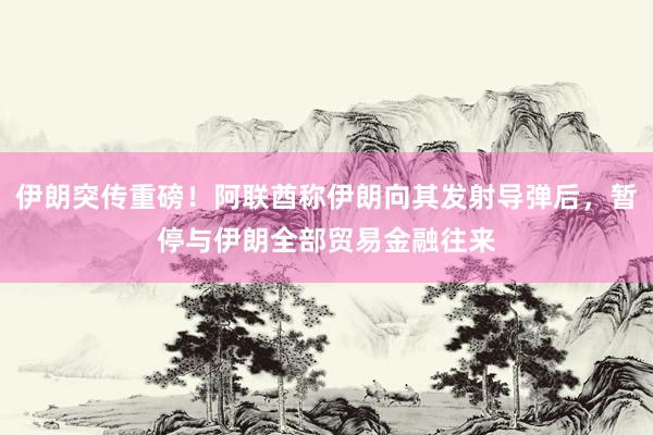 伊朗突传重磅！阿联酋称伊朗向其发射导弹后，暂停与伊朗全部贸易金融往来