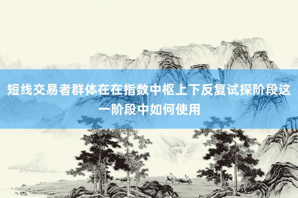 短线交易者群体在在指数中枢上下反复试探阶段这一阶段中如何使用