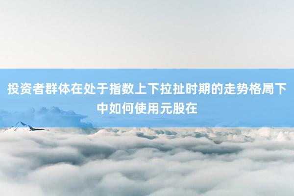 投资者群体在处于指数上下拉扯时期的走势格局下中如何使用元股在