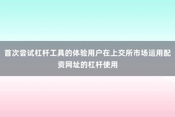 首次尝试杠杆工具的体验用户在上交所市场运用配资网址的杠杆使用