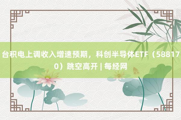 台积电上调收入增速预期，科创半导体ETF（588170）跳空高开 | 每经网