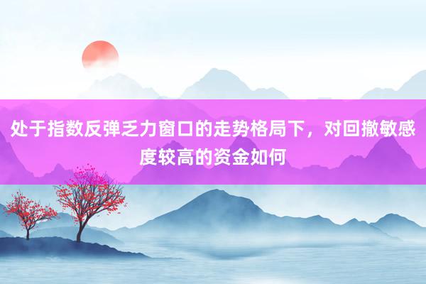 处于指数反弹乏力窗口的走势格局下，对回撤敏感度较高的资金如何