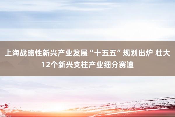 上海战略性新兴产业发展“十五五”规划出炉 壮大12个新兴支柱产业细分赛道