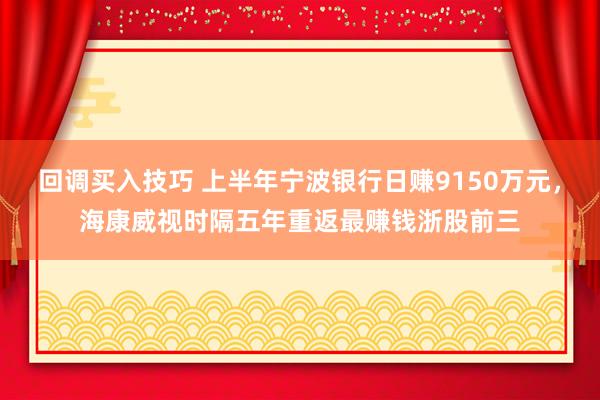 回调买入技巧 上半年宁波银行日赚9150万元，海康威视时隔五年重返最赚钱浙股前三