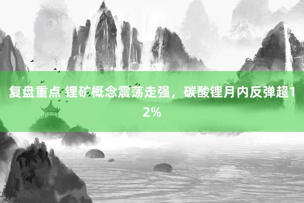 复盘重点 锂矿概念震荡走强，碳酸锂月内反弹超12%