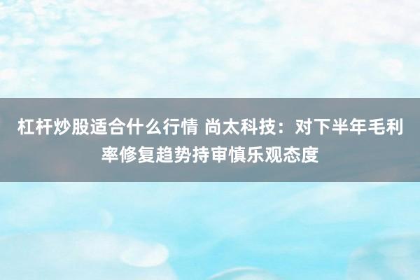 杠杆炒股适合什么行情 尚太科技：对下半年毛利率修复趋势持审慎乐观态度
