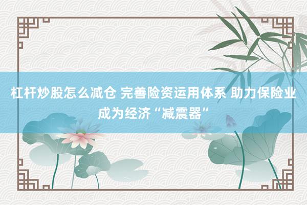 杠杆炒股怎么减仓 完善险资运用体系 助力保险业成为经济“减震器”