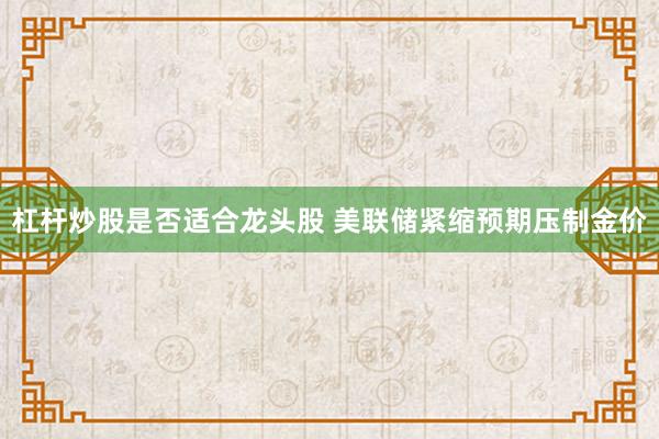 杠杆炒股是否适合龙头股 美联储紧缩预期压制金价
