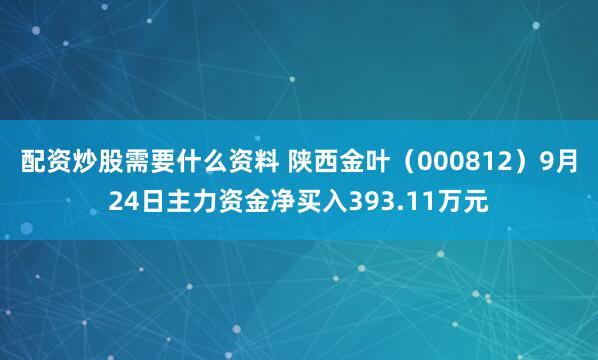配资炒股需要什么资料 陕西金叶（000812）9月24日主力资金净买入393.11万元