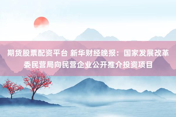 期货股票配资平台 新华财经晚报：国家发展改革委民营局向民营企业公开推介投资项目